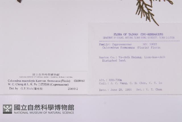 台灣肖楠藏品圖，第2張