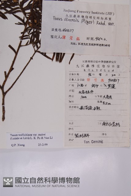 登錄號:G000941藏品圖，第2張