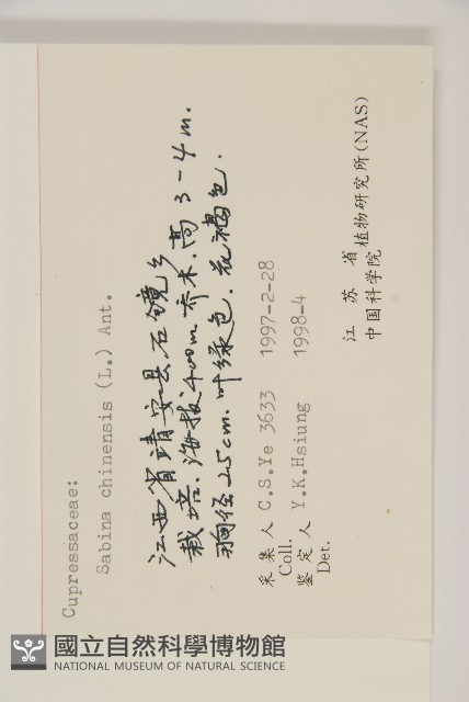 檜柏藏品圖，第2張