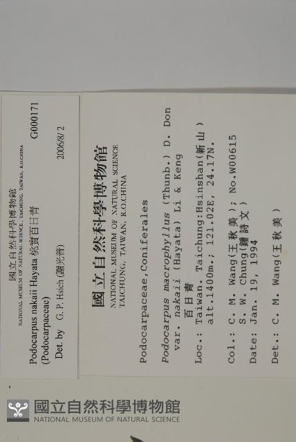 桃實百日青藏品圖，第2張