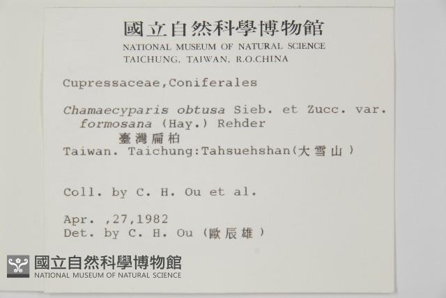 臺灣扁柏藏品圖，第2張