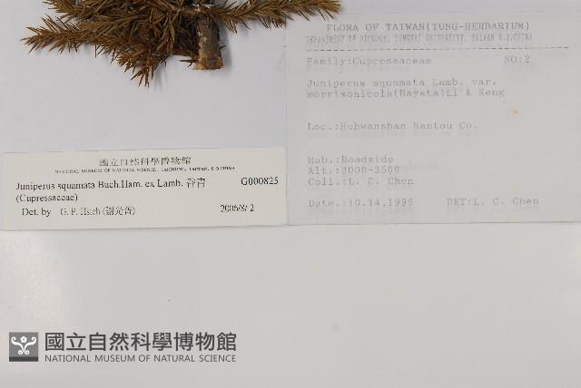 香青藏品圖，第2張