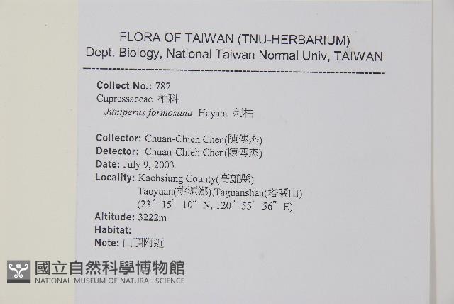 刺柏藏品圖，第2張