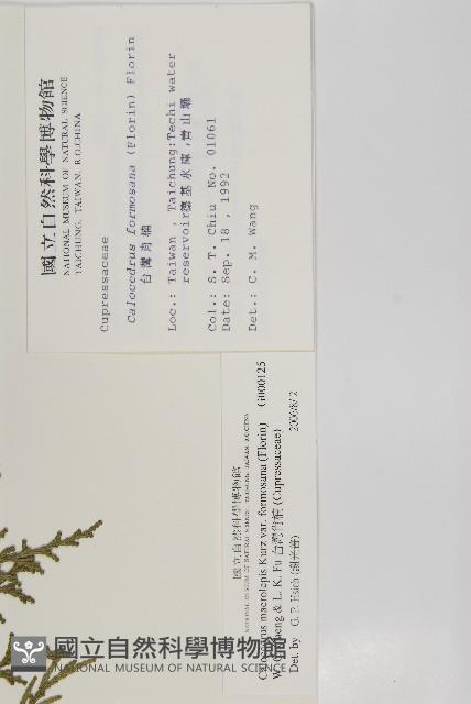 台灣肖楠藏品圖，第2張