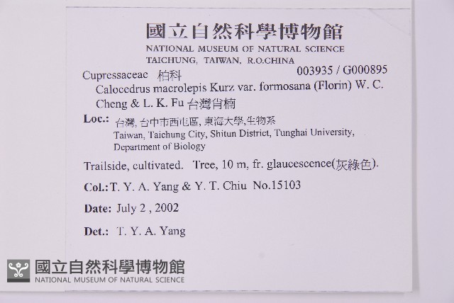 台灣肖楠藏品圖，第2張
