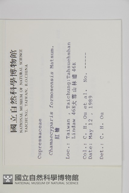 紅檜藏品圖，第2張