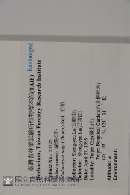 竹柏藏品圖，第2張