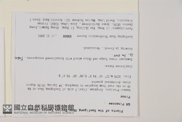 登錄號:G001065藏品圖，第2張