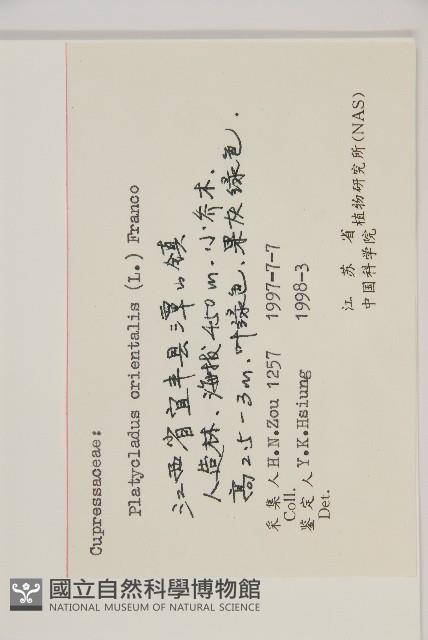 側柏藏品圖，第2張