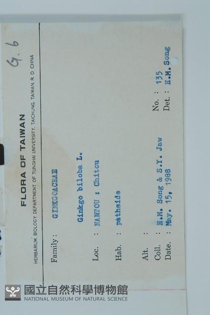 銀杏藏品圖，第2張