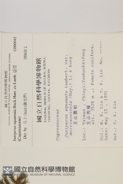 香青藏品圖，第2張