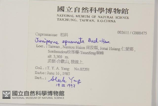 香青藏品圖，第2張