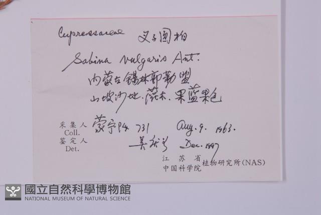 叉子園柏藏品圖，第2張