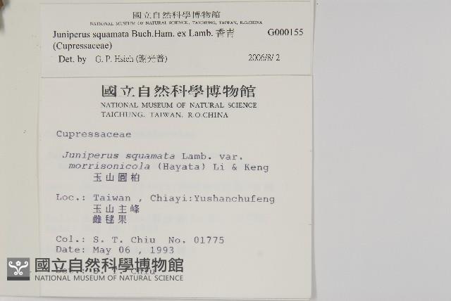 香青藏品圖，第2張