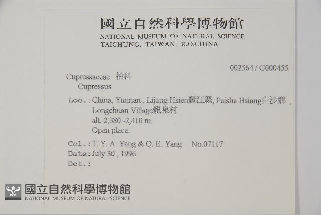 登錄號:G000455藏品圖，第2張