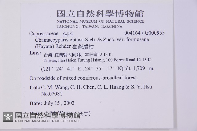 臺灣扁柏藏品圖，第2張