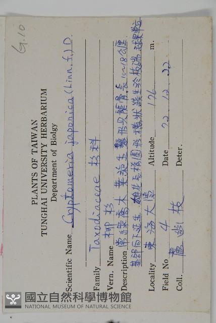 Willow fir Collection Image, Figure 2, Total 5 Figures