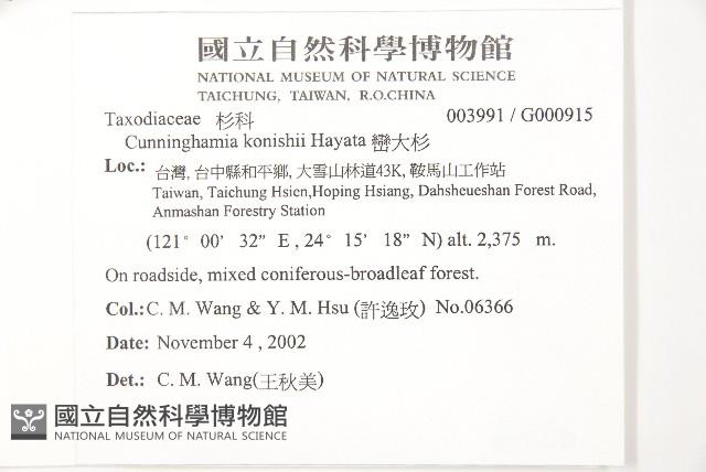 杉木藏品圖，第2張