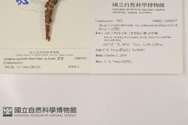 香青藏品圖，第2張