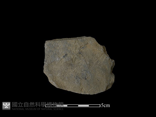 石片藏品圖，第2張