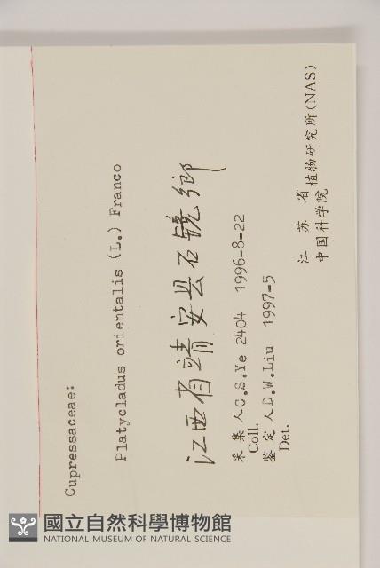 側柏藏品圖，第2張