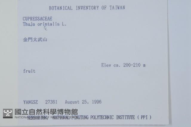 側柏藏品圖，第2張