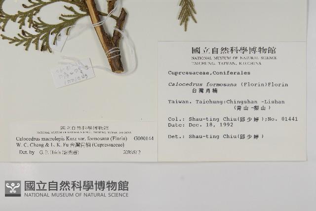 台灣肖楠藏品圖，第2張