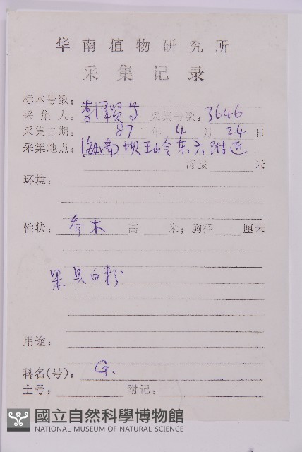 翠柏藏品圖，第2張