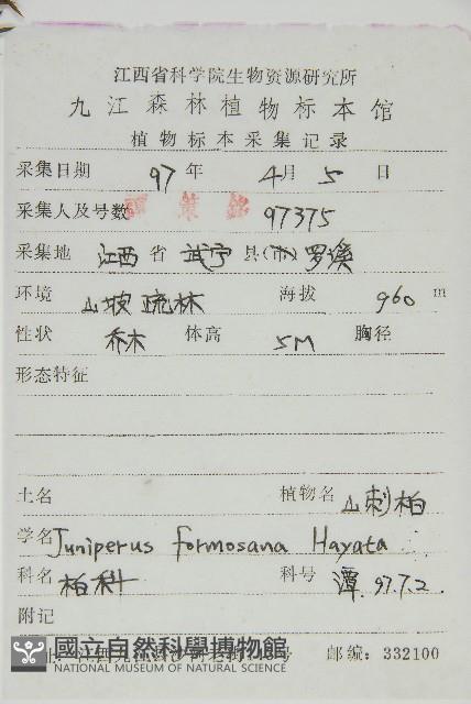 刺柏藏品圖，第2張