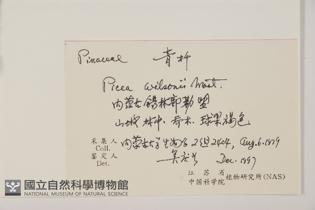青杆藏品圖，第2張