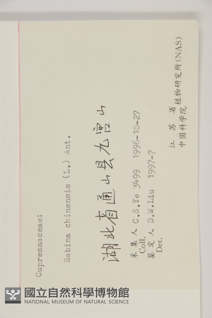 檜柏藏品圖，第2張