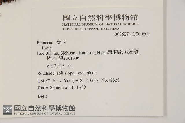 登錄號:G000804藏品圖，第2張