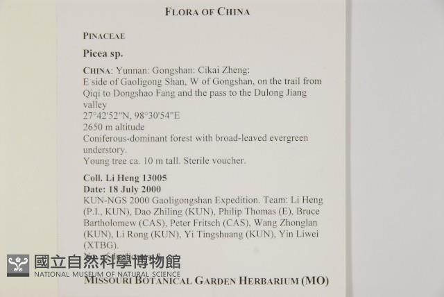 登錄號:G001004藏品圖，第2張