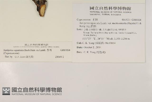 香青藏品圖，第2張