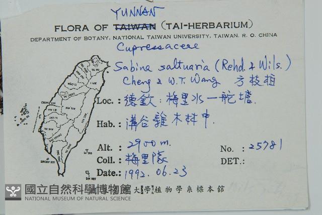 方枝柏藏品圖，第2張