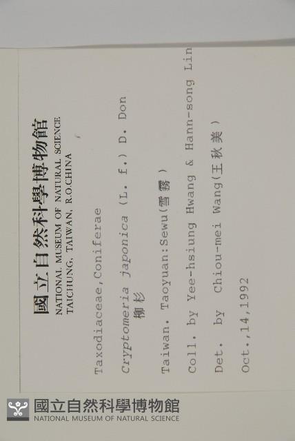 柳杉藏品圖，第2張