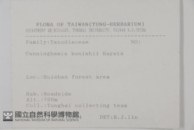 杉木藏品圖，第2張