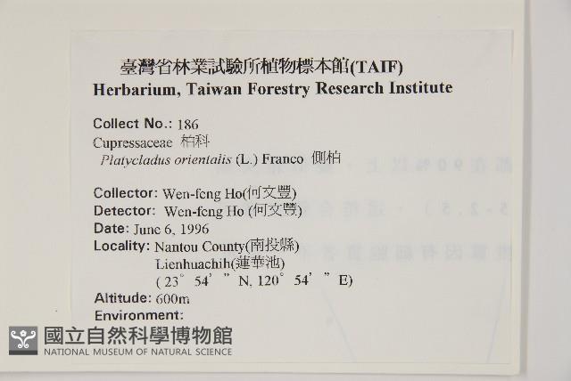 側柏藏品圖，第2張