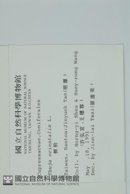 側柏藏品圖，第2張