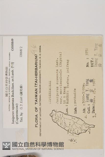 香青藏品圖，第2張