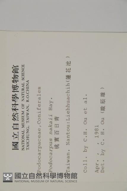 桃實百日青藏品圖，第2張