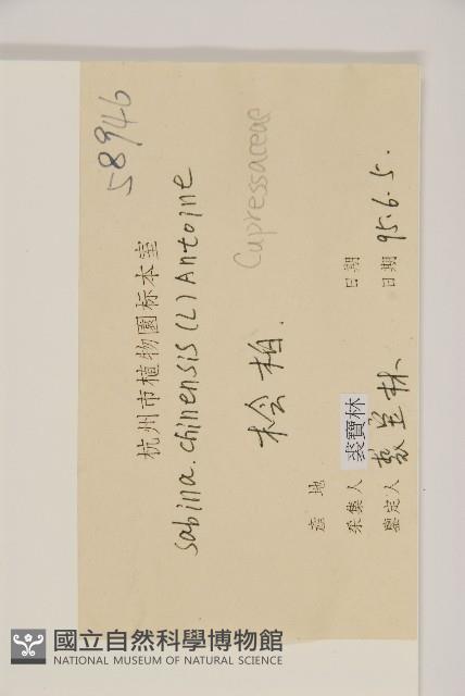 檜柏藏品圖，第2張