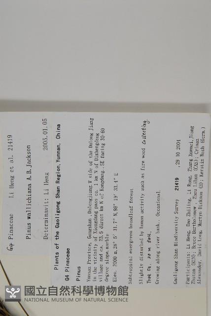 登錄號:G001059藏品圖，第2張