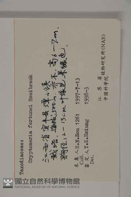 柳杉藏品圖，第2張