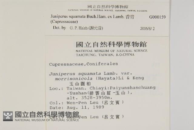 香青藏品圖，第2張