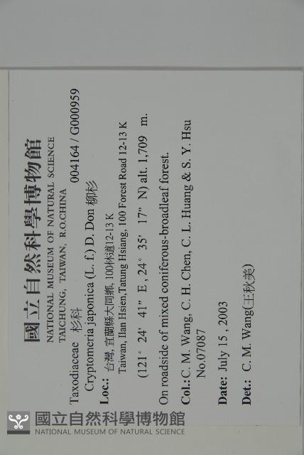 柳杉藏品圖，第2張