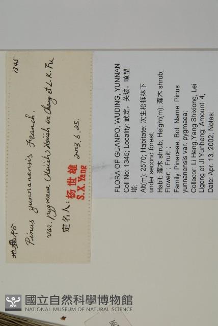 地盤松藏品圖，第2張