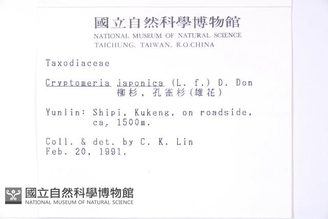 柳杉藏品圖，第2張