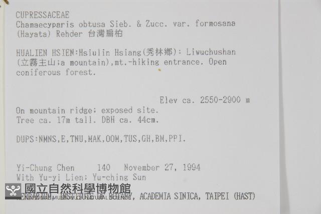 臺灣扁柏藏品圖，第2張