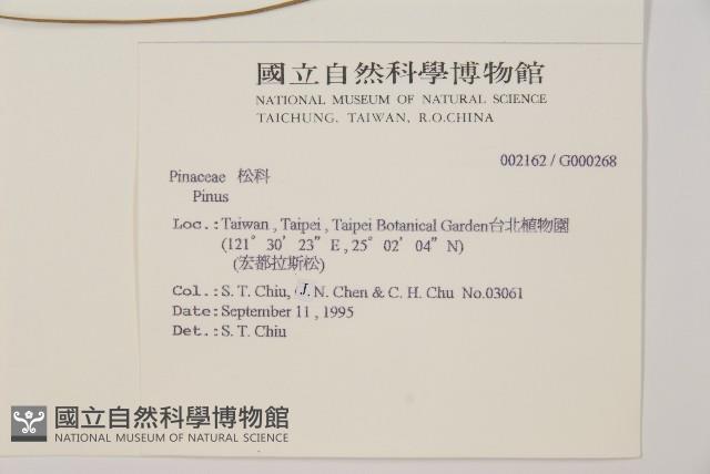 登錄號:G000268藏品圖，第2張